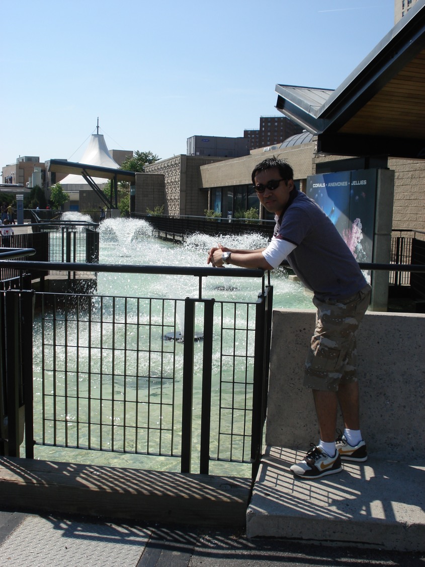 [nyaquarium6.jpg]