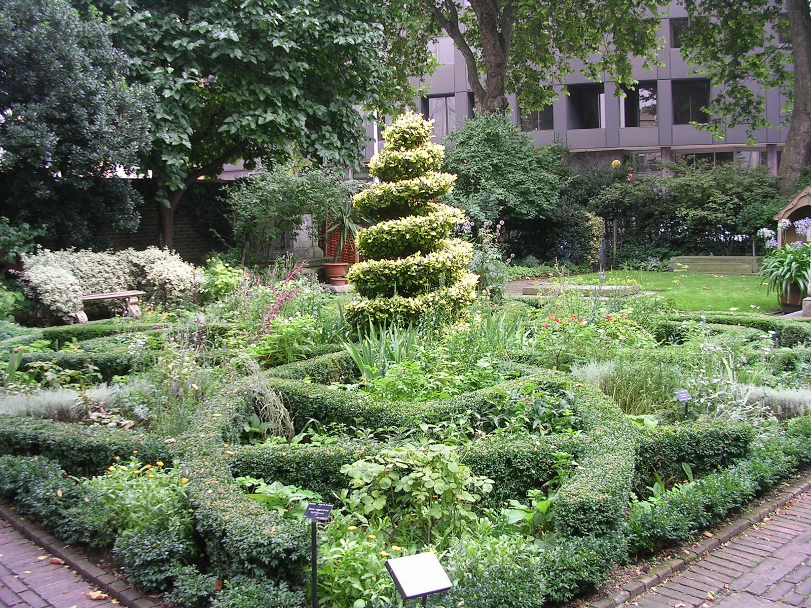 Lemon Verbena Lady's Herb Garden Another London Favorite Has a New
