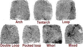 Other fingerprint paterns