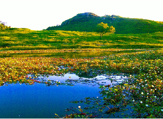 PEDRA DO CORDEIRO