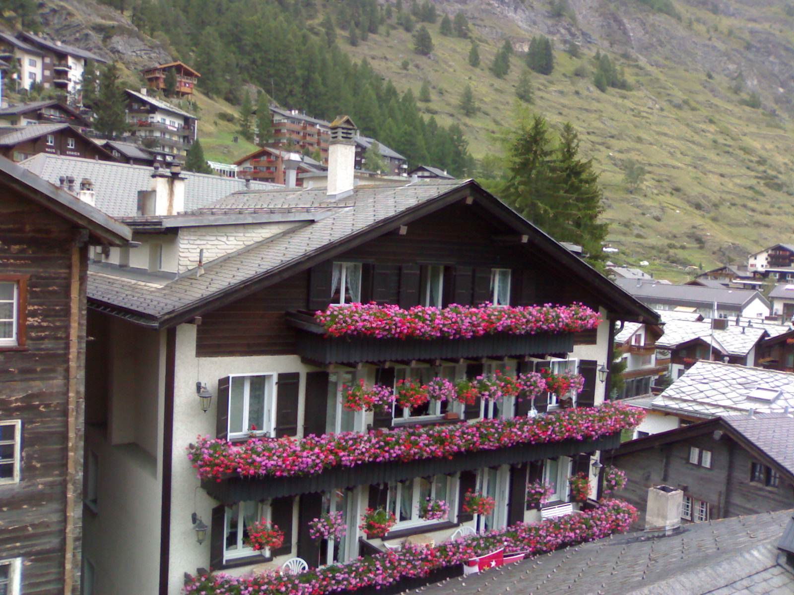 [Image: House+in+Switzerland.jpg]