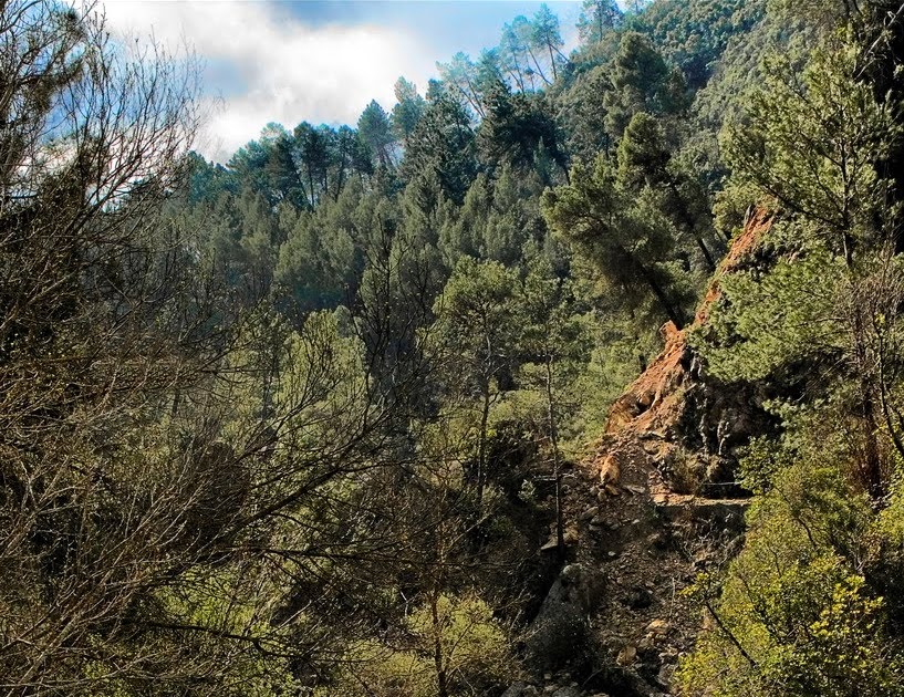 miguel muñoz segura agua mis fotograf 205 as r 205 o corbones cazorla miguel muñoz segura agua mis fotograf 205 as r 205 o corbones cazorla