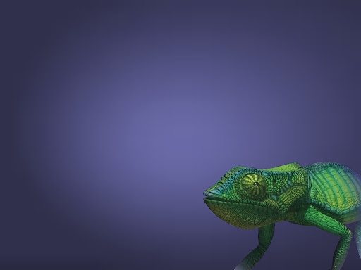 Lizard Wallpaper 01