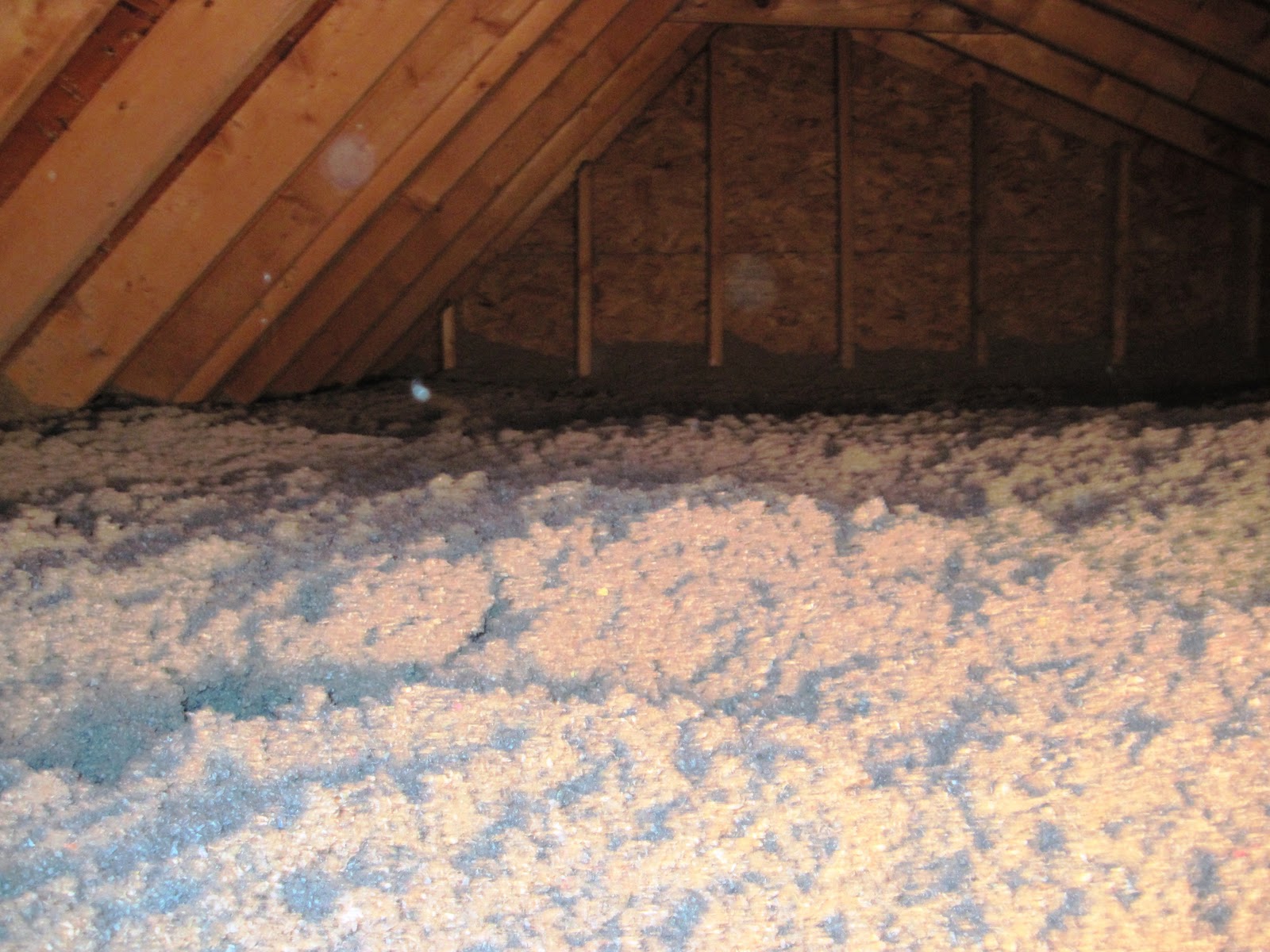 WormMainea Work in the attic air sealing and insulating the soffits