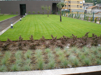 Francisco Cruz - Agricultura, Paisajismo, Césped deportivo: Perfección