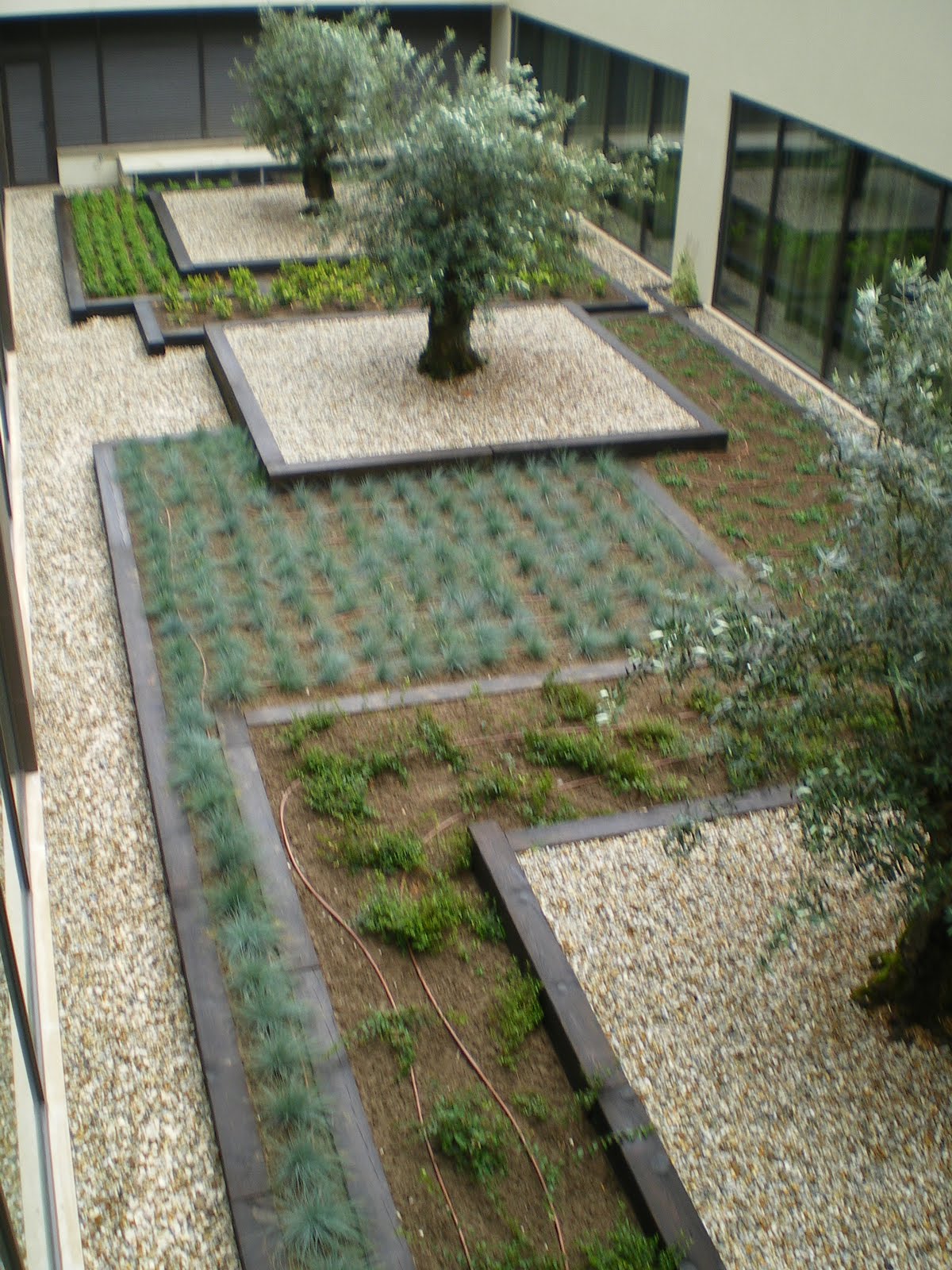 Francisco Cruz - Agricultura, Paisajismo, Césped deportivo: Perfección