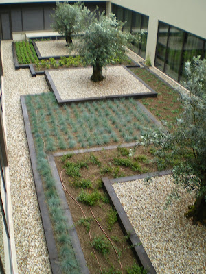 Francisco Cruz - Agricultura, Paisajismo, Césped deportivo: 06/01/2010