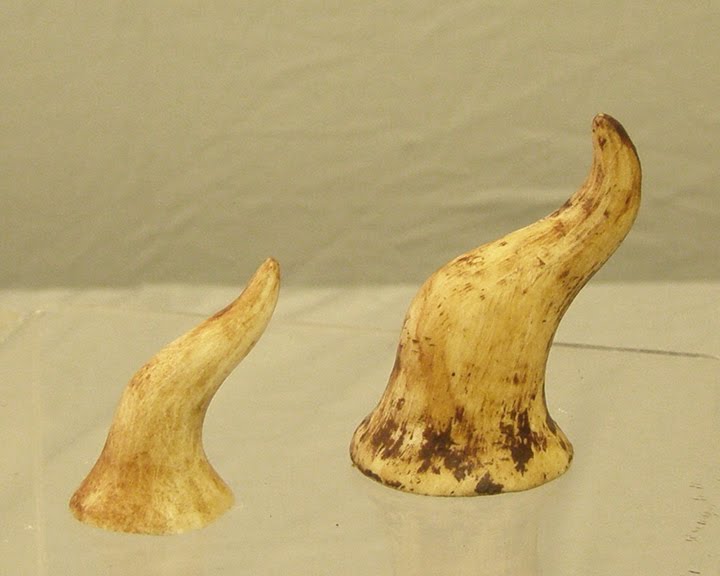bone horn