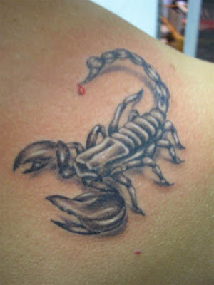 tribal tattoo scorpion