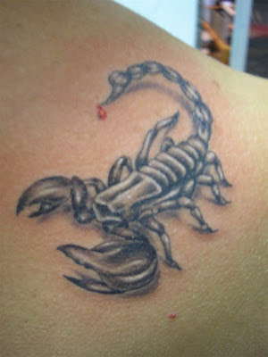 Tattoo Designs Scorpion Tattoo Designs Scorpion