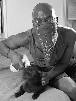 bottle who the other cat don't like so much… When using this technique, bottle who the other cat don't like so much… When using this technique,