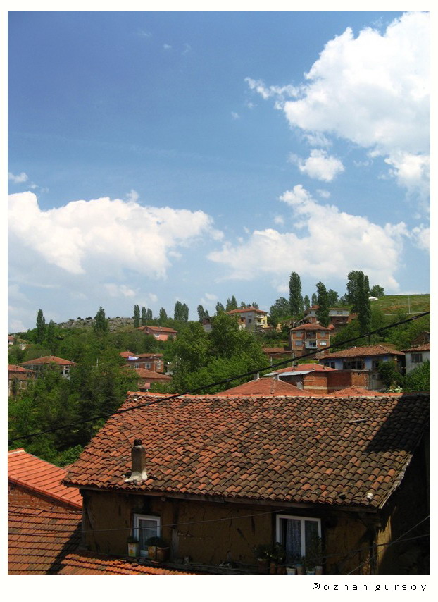 [IMG_14703.jpg]