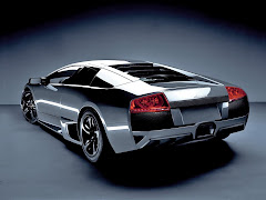 murcielago