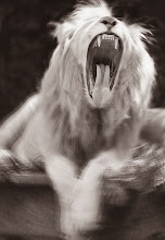 White Lion.