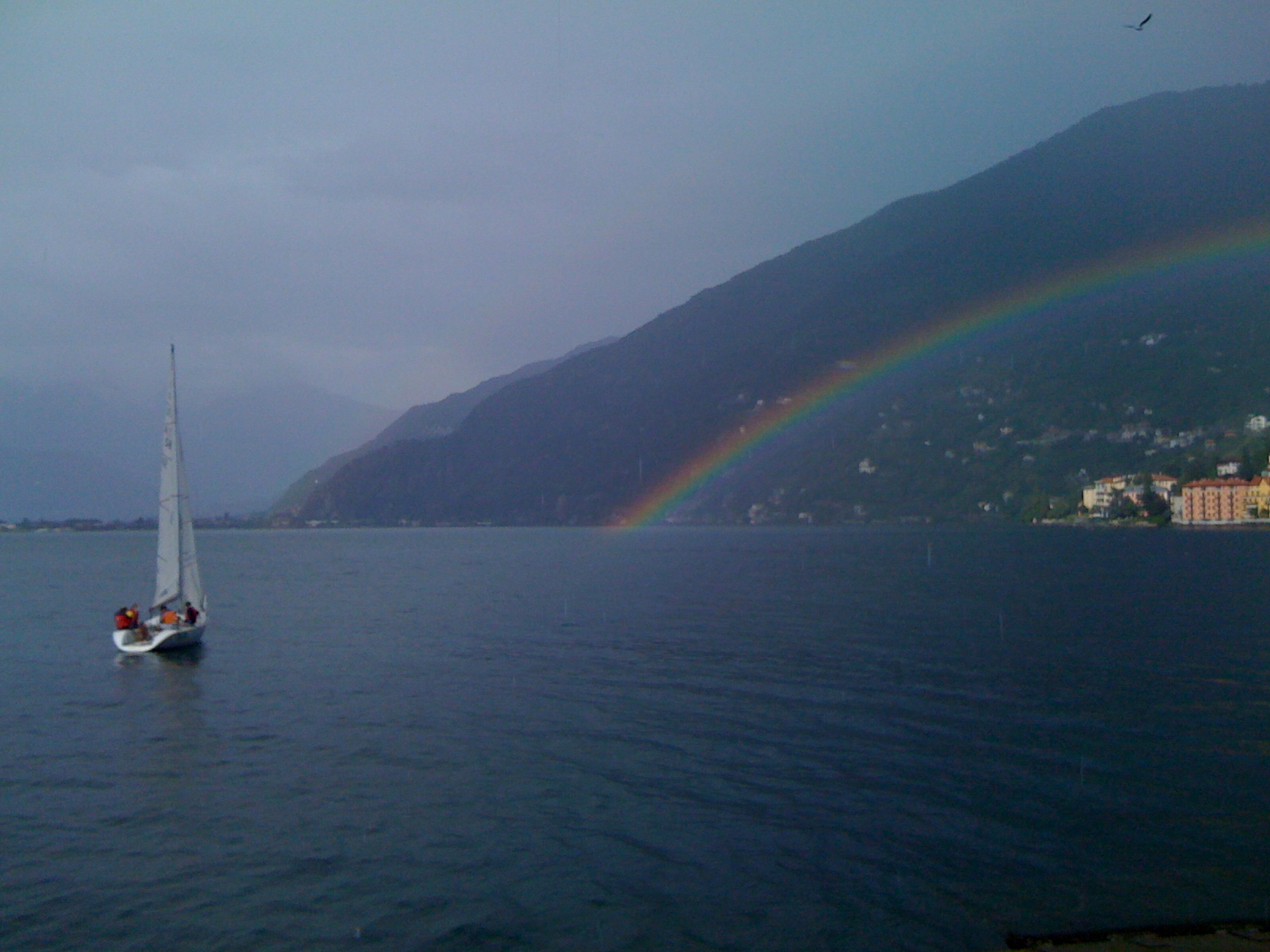 [IMG_0083.JPG]