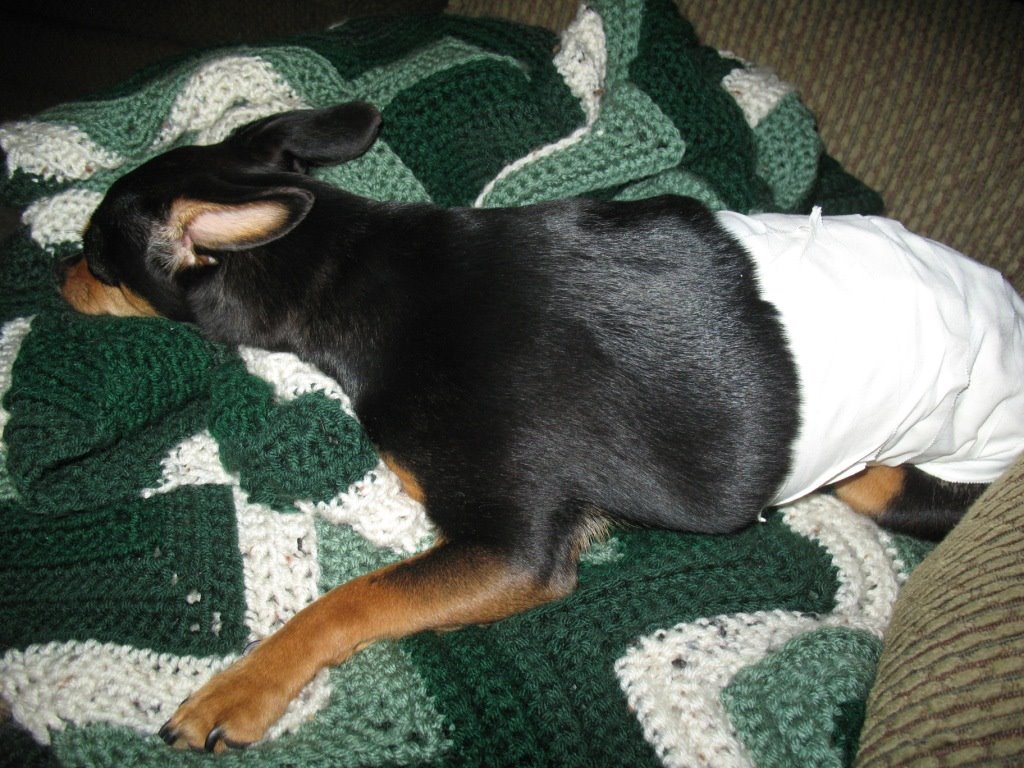 [poorruby.JPG]