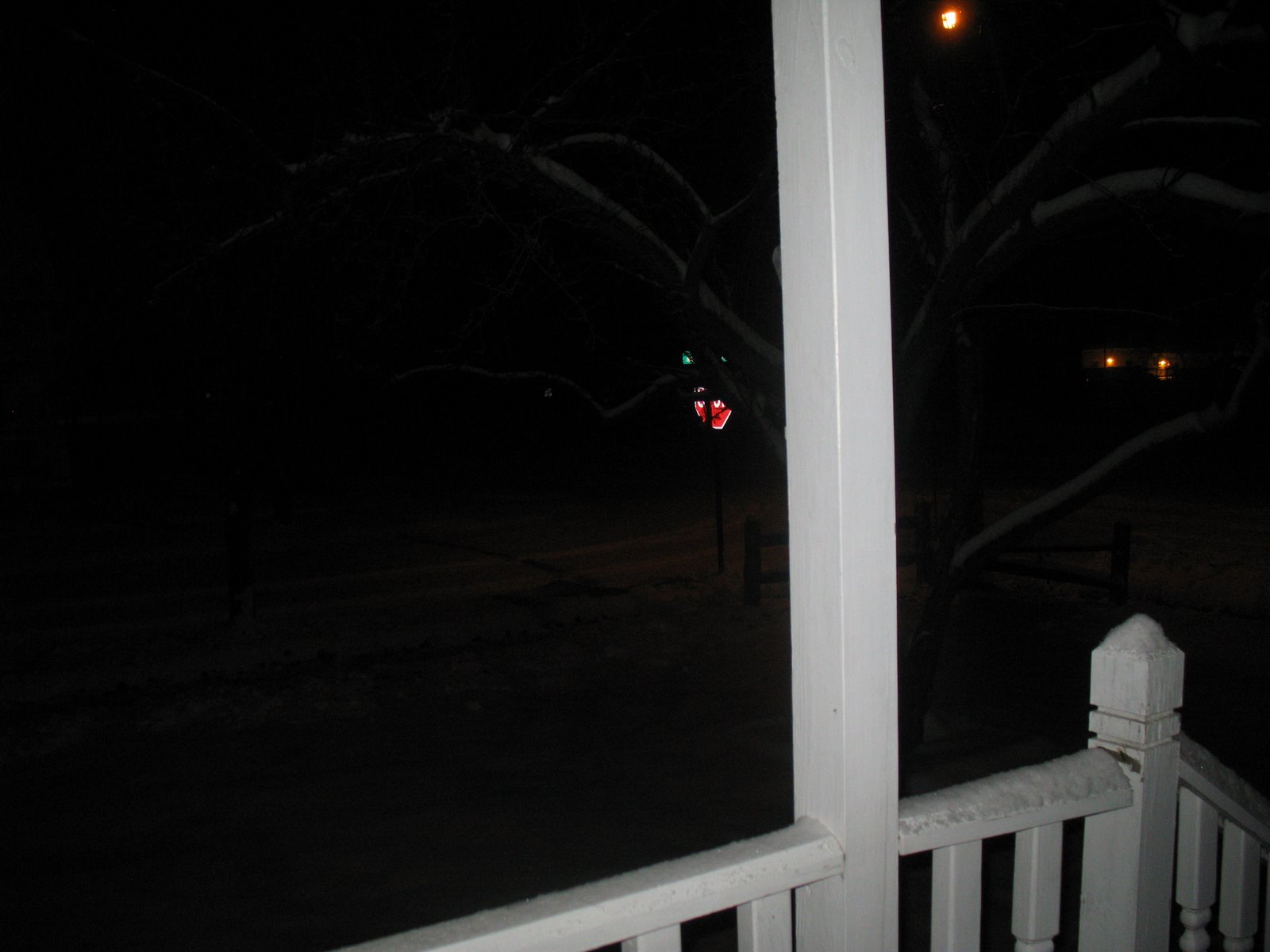 [frontyard.JPG]