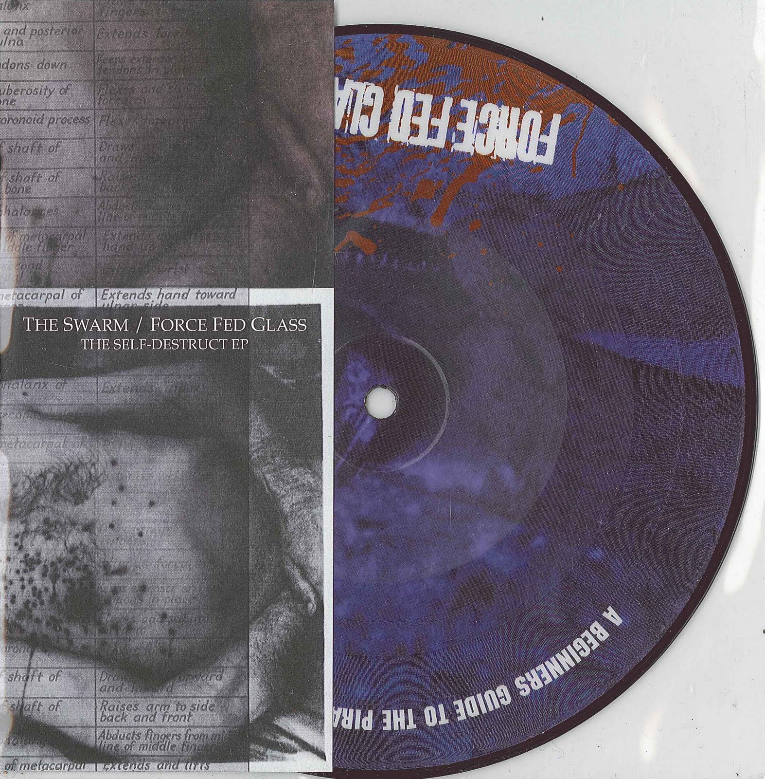 [Swarm-Force+fed+Glass+ep.jpg]