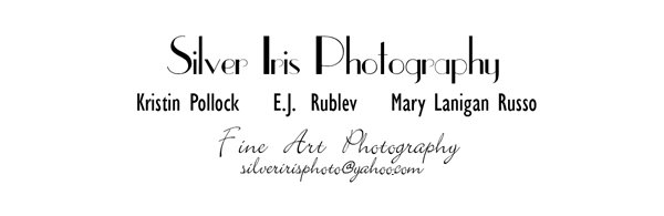 Silver Iris Photography