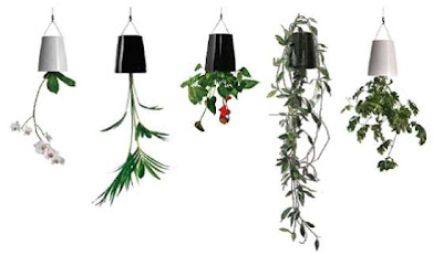 upside down plants