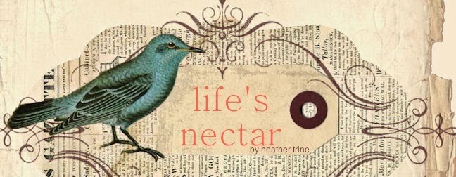 life's nectar