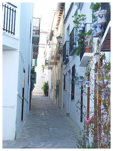[C.REAL+SALOBREÑA.jpg]