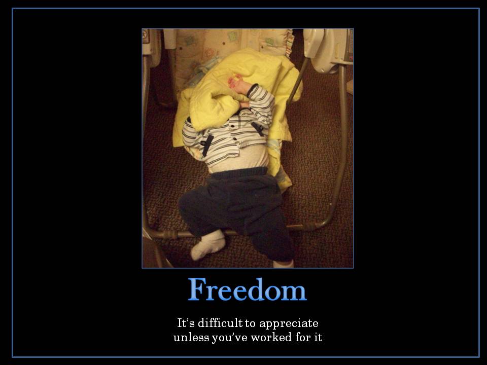 [Freedom.JPG]