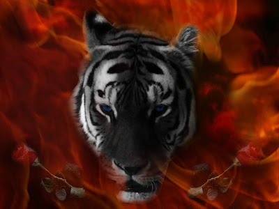wallpaper tiger. Download Tiger Wallpaper