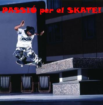 Passió per l'SKATE