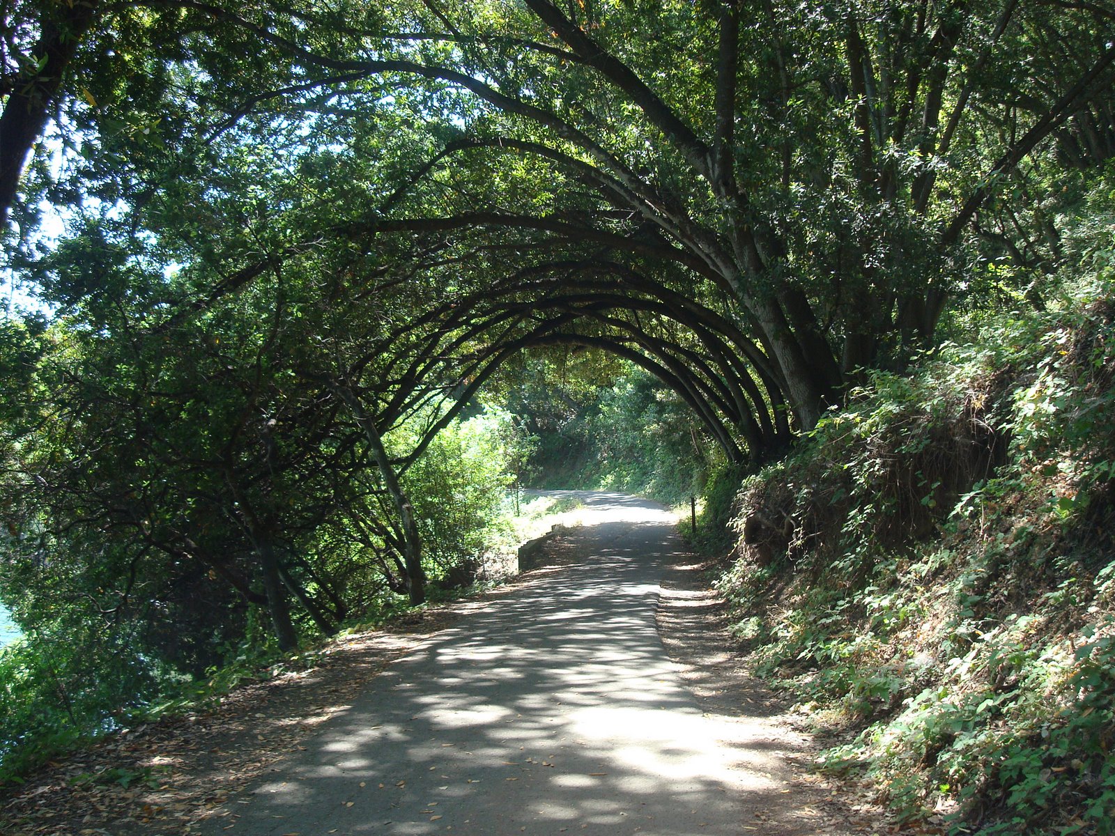 [DSC03441.JPG]