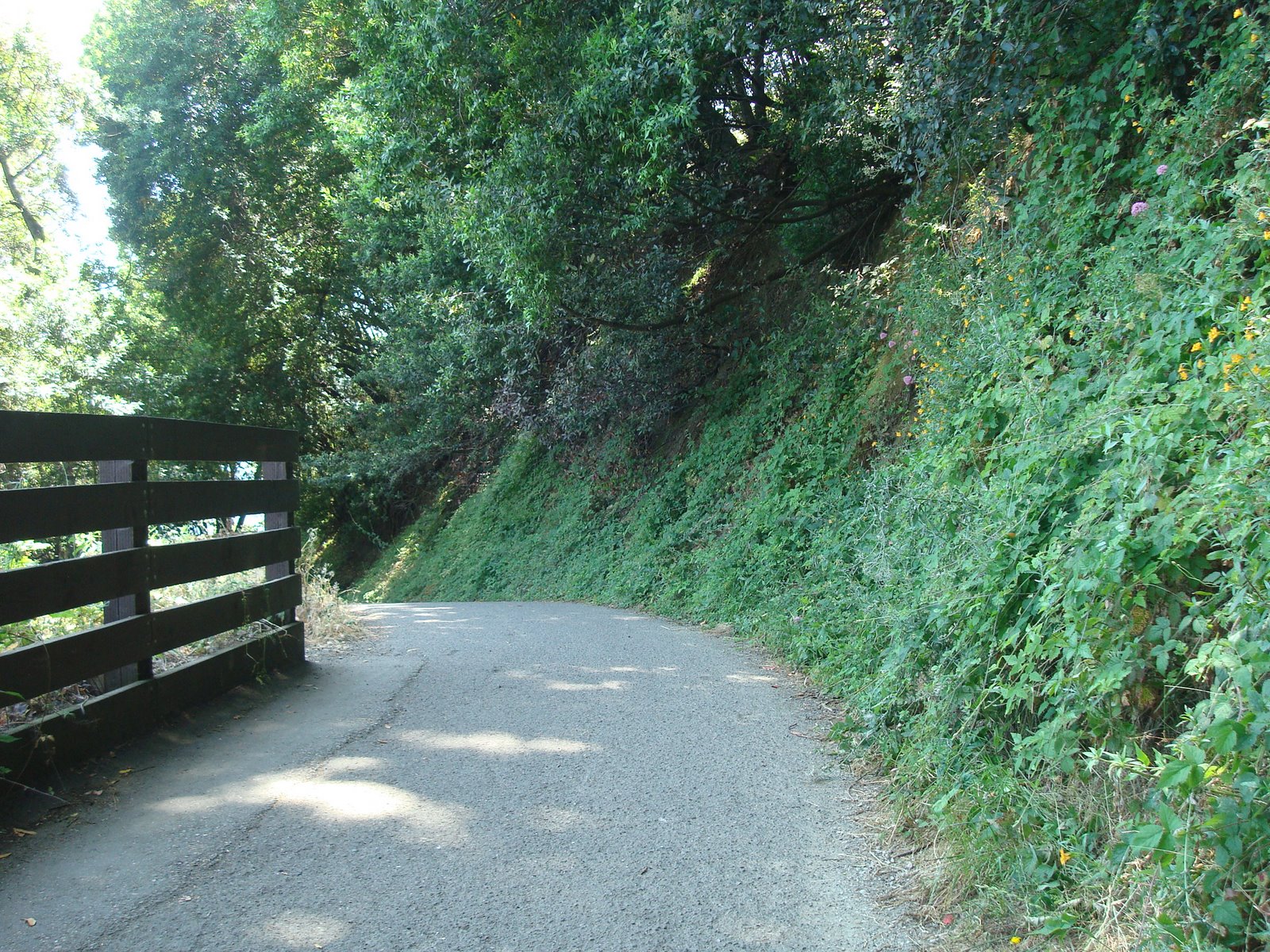 [DSC03440.JPG]
