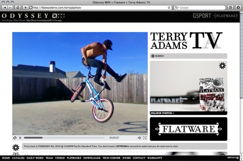 [terry-adams-tv1-500x331.jpg]