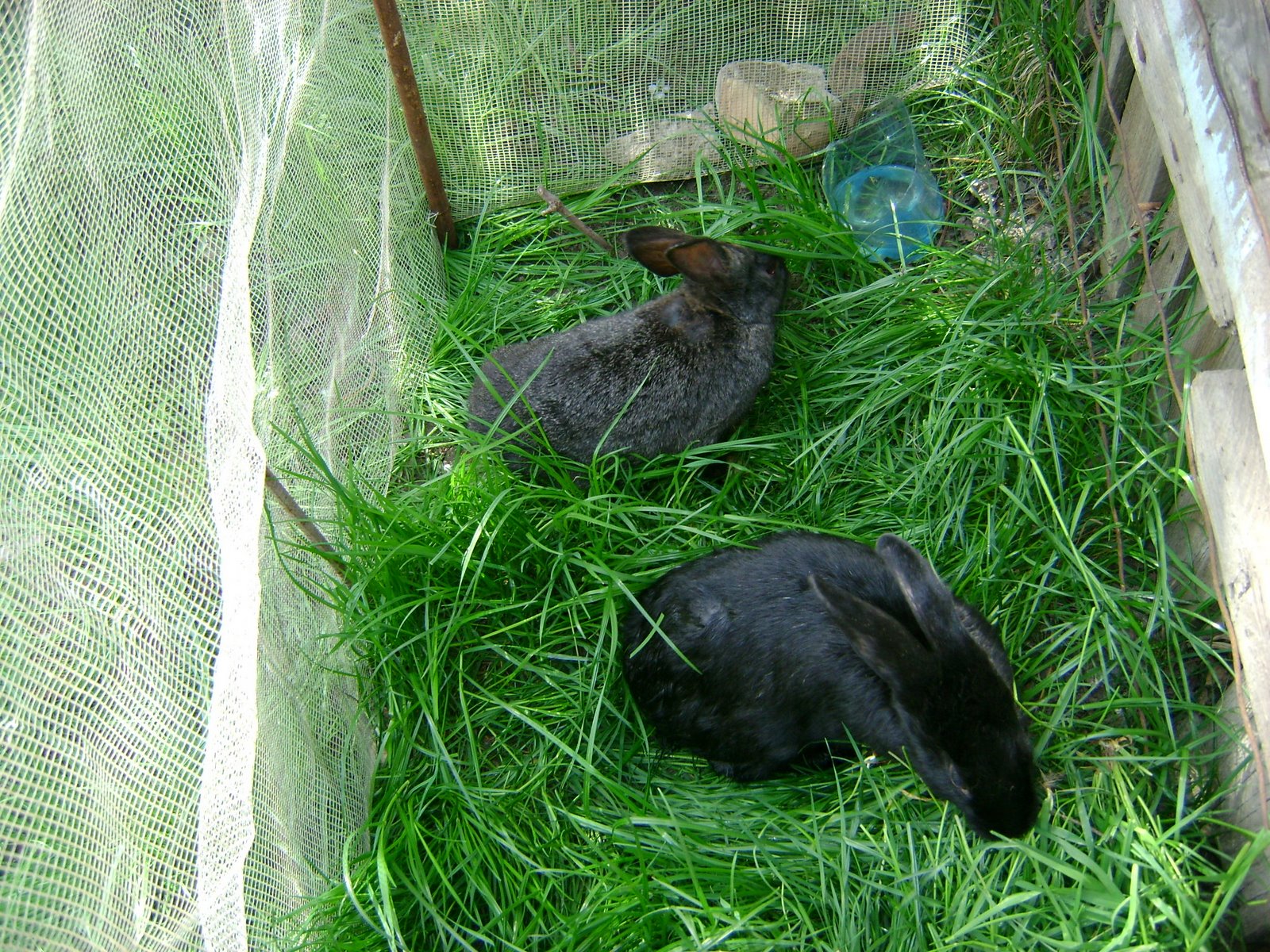 [DSC02101.JPG]
