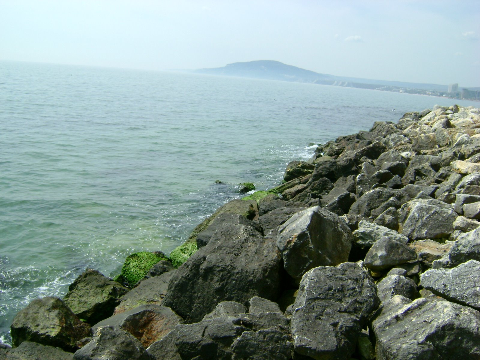 [DSC02034.JPG]