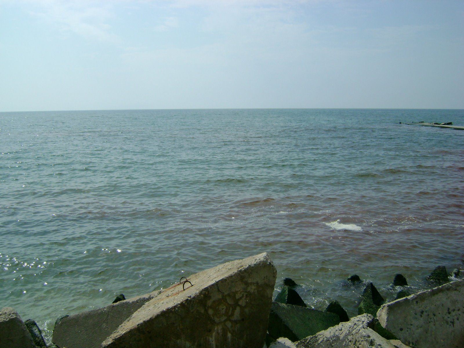 [DSC01891.JPG]
