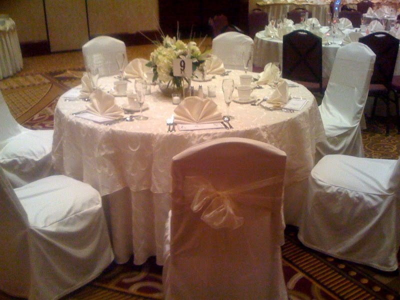 [ivory+ribbon+taffeta.bmp]