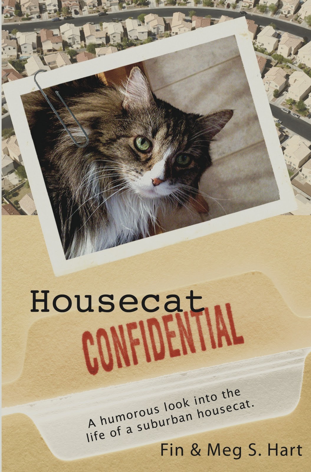 Cat Chat With Caren And Cody Book Revew "Housecat CONFIDENTIAL" A