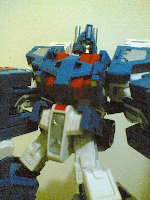[magnus3.jpg]