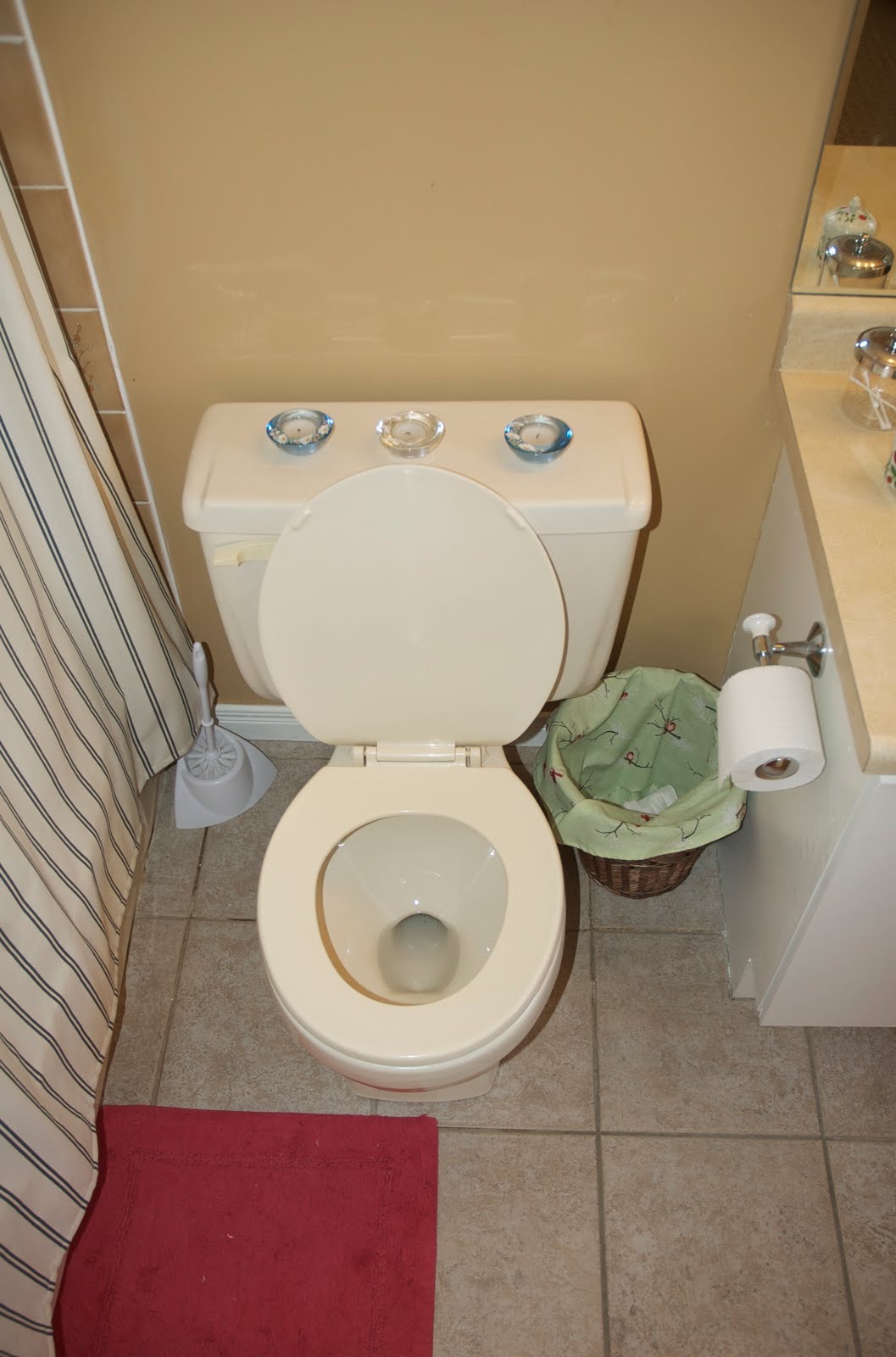 TheGreeningGirl How we made replacing our old toilets