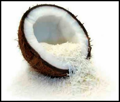santan kelapa