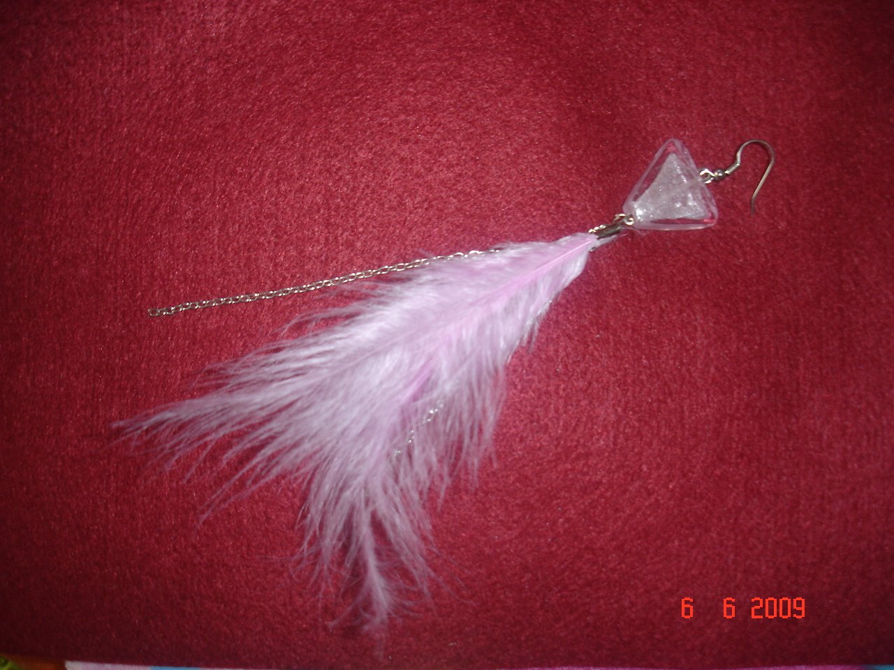 [DSC08071.JPG]