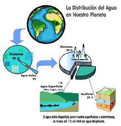 DISTRIBUCION DEL AGUA distribucion del agua: