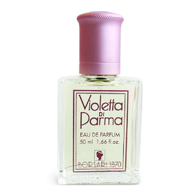 [Violetta+di+Parma+Borsari.jpg]