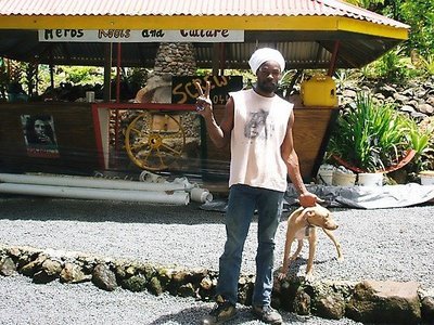 'Screws' Natural Sulphur Spa - Wotten Waven, Dominica