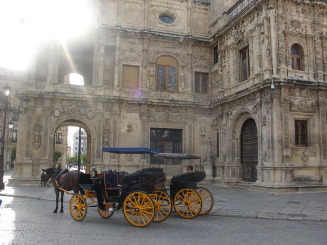 [DSC02513.JPG]