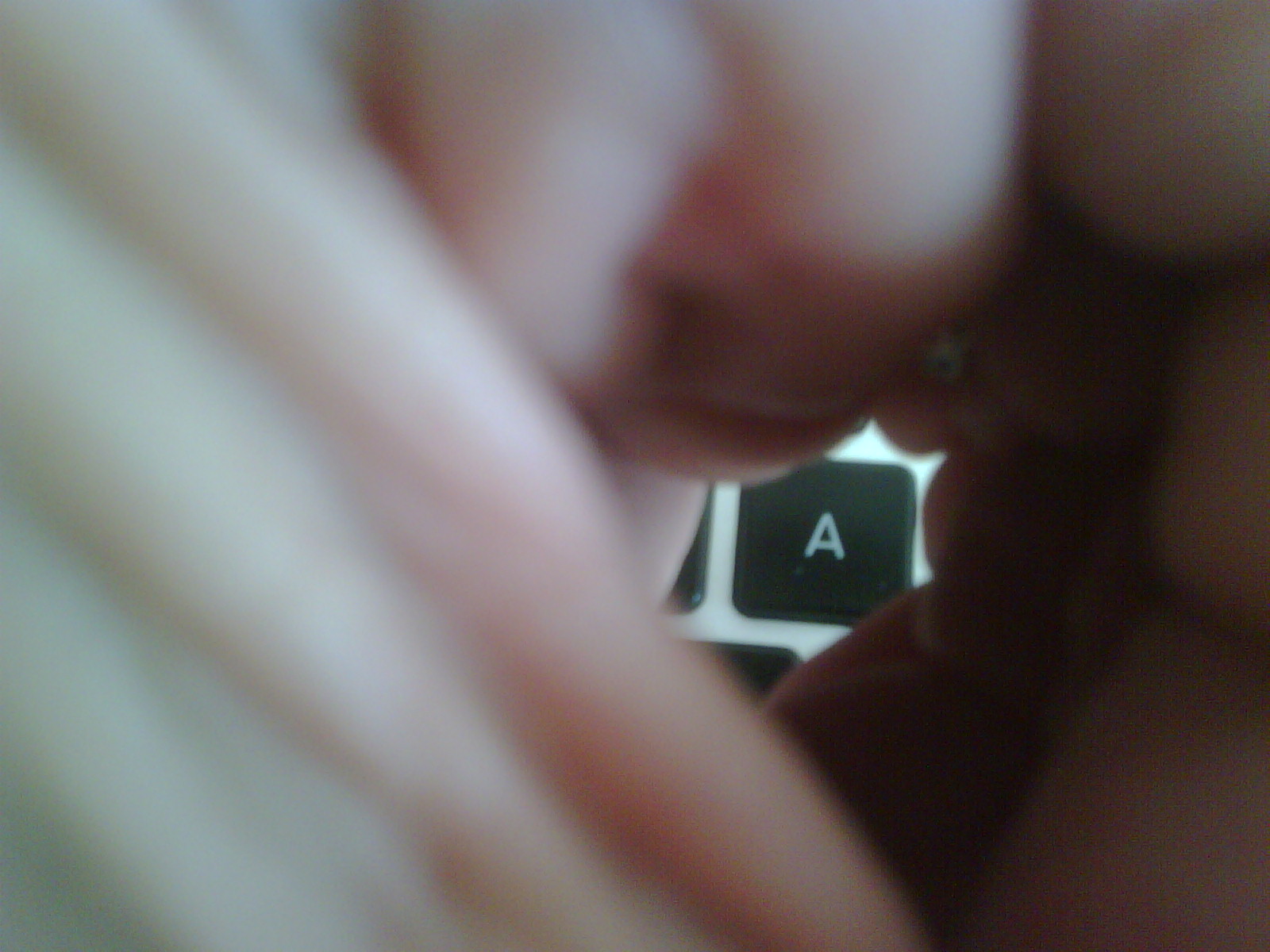 [=?utf-8?B?SU1HMDAxMTMtMjAwOTExMDUtMTM0Ny5qcGc=?=-756840]