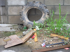 Junk in front of my apt building