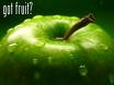 [gotfruit.jpg]