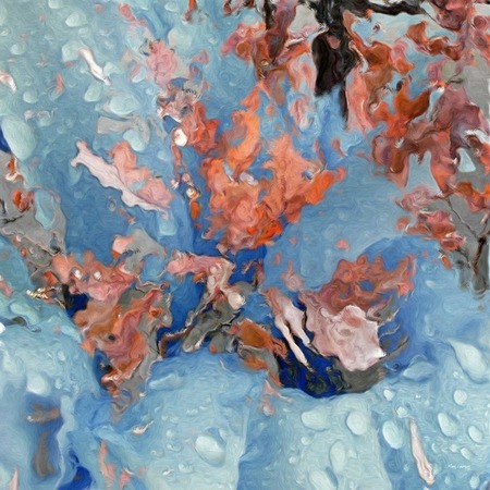 [b7b48939-b71b-410c-8393-d9c4327d3868.jpg]