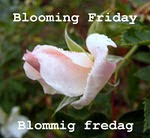 Blooming Friday